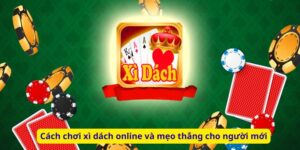 Cách chơi xì dách online